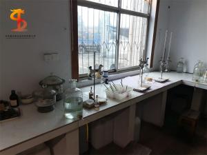 Professional large laboratory